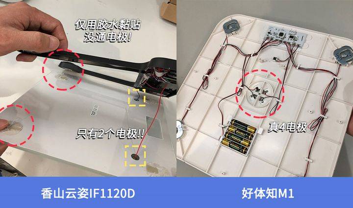 揭晓！体脂秤真是智商税？怎么选看这一篇就够了!麻将胡了2模拟器2023年6款体脂秤评测重磅(图8)