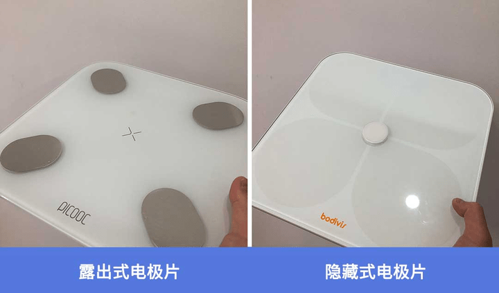 揭晓！体脂秤真是智商税？怎么选看这一篇就够了!麻将胡了2模拟器2023年6款体脂秤评测重磅(图13)